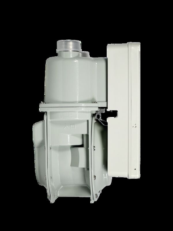측정 범위 0-9999 M3 산업용 가스 사용 모니터링을 위해 LoRaWAN 통신 모드를 사용하는 LoraWan 스마트 가스 미터