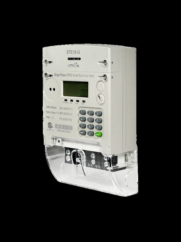 Plug-and-Play Modular Single-Phase GPRS Meter - 8-Year Battery Life, Bidirectional Metering & API Integration Capability