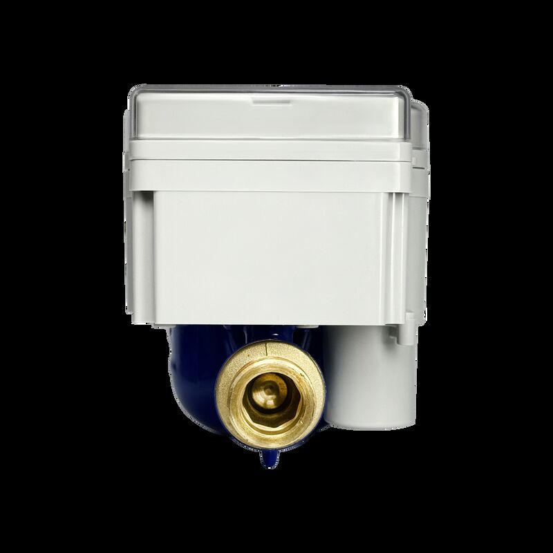 스마트 프리페이드 STS 물계시리즈 ODM/OEM 사용자 정의 맑은 기계 디스플레이 리블 브래스 물