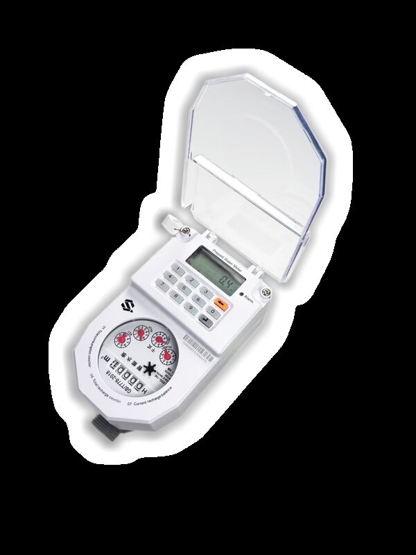 STW36-M 월트만 선불 물량계 고도로 통합된 IOT 스마트 물계 측정 범위를 제공하는 0-999999 리터 대규모 시설에서 물 관리에 적합