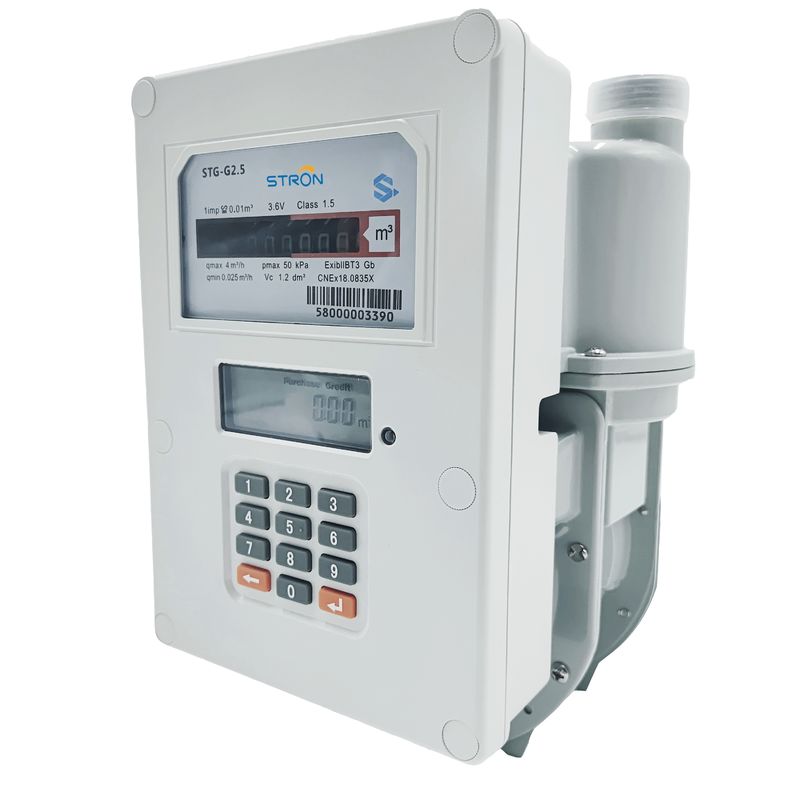 알루미늄 케이스와 STS 2.5m3/H 1.2L 가지고 다닐 수 있는 가스 플로미터