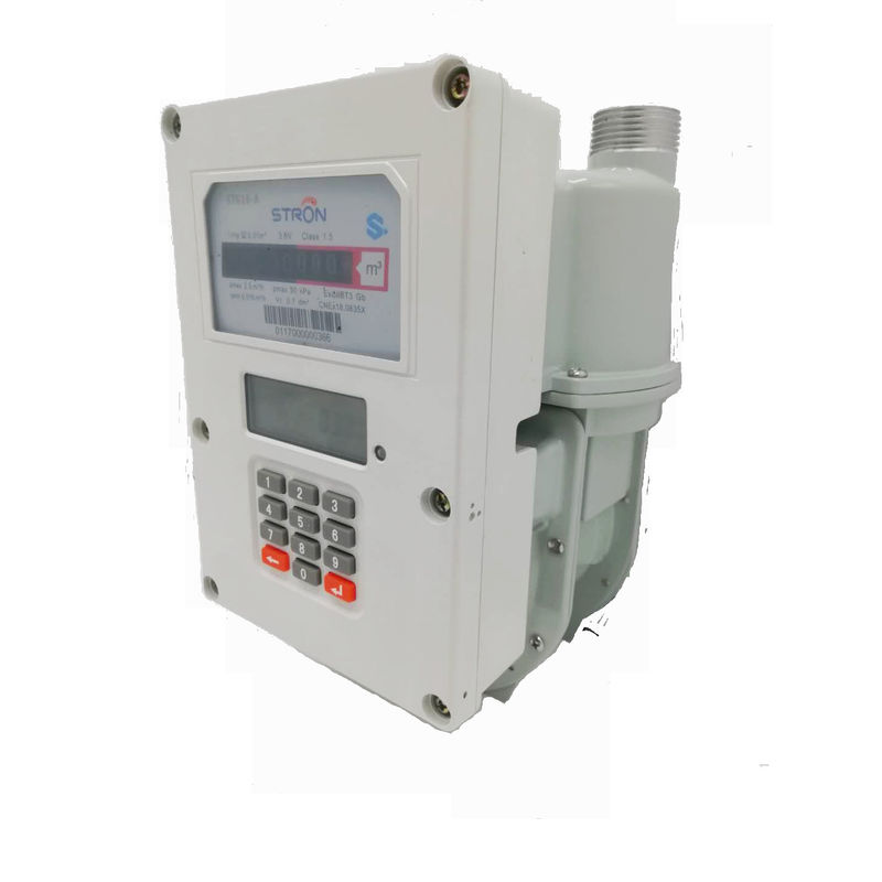 알루미늄 케이스와 STS 2.5m3/H 1.2L 가지고 다닐 수 있는 가스 플로미터